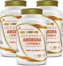 Kit 3 Óleo de Semente de Abóbora 60 capsulas de 1000mg FNB