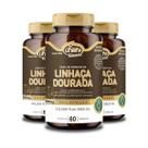 Kit 3 Óleo de Semente de Linhaça Dourada 1000mg Unilife 60 Cápsulas
