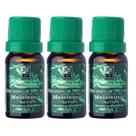 Kit 3 Oleo Essencial de Melaleuca Tea Tree Puro 10 ML Original RHR