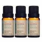 Kit 3 Óleo Essencial Menta Piperita Puro e Natural Via Aroma 10ml