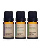 Kit 3 Óleo Essencial Via Aroma - Lavanda, Menta e Melaleuca