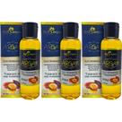 Kit 3 Óleo Reparador De Pontas Restaurador Revitalizador Renovador Tratamento De Ouro Marroquino 60ml