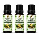 Kit 3 Óleos de Alecrim 100% Puro 3x20ml