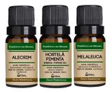 Kit 3 Óleos Essenciais 10ml - Alecrim, Hortelã, Melaleuca