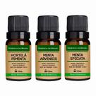 Kit 3 Óleos Essênciais de Menta Arvensis, Spicata, Piperita