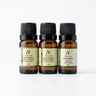 Kit 3 Óleos Essenciais P/ Difusor 100% Puro 10ml Nattuaromas Aroma:Eucalipto Globulus, Eucalipto Citriodora E Hortelã