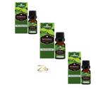 Kit 3 Óleos Essenciais Patchouli 100% Puro 10ml - Chamed Kit 3 Óleos Essenciais Patchouli 100% Puro 10ml - Chamed