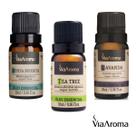 Kit 3 Óleos Essenciais Via Aroma Melaleuca, Lavanda e Hortela Pimenta Puros e Naturais Para Aromaterapia