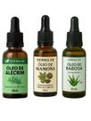 Kit 3 Óleos Naturais: Alecrim + Babosa + Mamona 30ml Crescimento Capilar, Hidratação, Fortalecimen