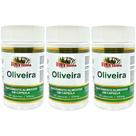 Kit 3 Oliveira 360 Cápsulas - Rei Terra Kit 3 Oliveira 360 Cápsulas - Rei Terra