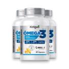 Kit 3 Ômega 3 Concentrado Katiguá 540/360mg 60 Cápsulas
