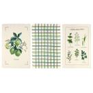 Kit 3 Panos de Prato Döhler Botânica 100 Algodão Alta Absorção Estampa Floral Cozinha Premium