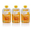 Kit 3 Papinha Papapá Orgânica Manga 300g