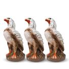 Kit 3 Pçs Gavião Águia Espanta Pombos Maritacas Envernizado Exclusivo Várias Variedades
