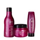 Kit 3 Peças Hidratação Cabelos Com Química e Progressiva Alisamento Relaxamento All Repair WF 850ml Kit 3 Peças Hidratação Cabelos Com Química e Progressiva Alisamento Relaxamento All Repair WF 850ml