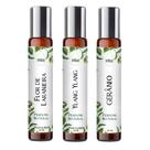 Kit 3 Perfumes Roll On 10ml - Florais Marcantes Masculinos