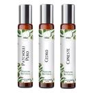 Kit 3 Perfumes Roll On 10ml - Notas Terrosas para Ele