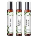 Kit 3 Perfumes Spray 10ml - Fragrância Frutada para Homens