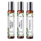 Kit 3 Perfumes Spray 10ml - Frescor Natural Masculino