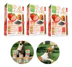 Kit 3 Petisco Fit Pet Morango Batata Doce Chia 50g Spin