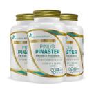 Kit 3 Pinus Pinaster com Vitamina E Selênio e Zinco 60 Cápsulas Flora Nativa