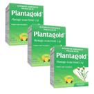 Kit 3 Planta Gold Psyllium Com 10 Sachês - Arte Nativa