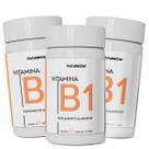 Kit 3 Pote De Vitamina B1 A Melhor Tiamina 180 Cápsulas Pura Thiamine Sem Sabor Original Alta Pureza