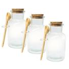 Kit 3 Pote Porta Tempero Redondo Vidro com Colher de Bambu e Tampa Rolha 100ml Kit 3 Pote Porta Tempero Redondo Vidro com Colher de Bambu e Tampa Rolha 100ml