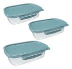 Kit 3 Pote Raso Marmita Tampa Trava Microondas 270ml Freezer