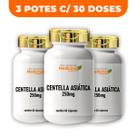 Kit 3 Potes Centella Asiática 250mg 60 Cápsulas