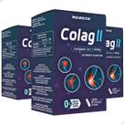 Kit 3 Potes Colágeno Tipo 2 Suplemento Alimentar Natural Vitamina Natunectar 180 Capsulas Rápida Absorção Premium