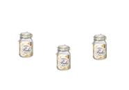 Kit 3 Potes de Vidro Hermético Original FIDO Terrina 2000 ml Ø 12 mm Multiuso