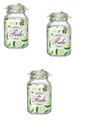 Kit 3 Potes de Vidro Hermético Original FIDO Terrina 3000 ml Ø 13,5 mm Multiuso