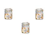 KIT 3 Potes de Vidro Hermético Original FIDO Terrina 750 ml Ø 10,5 mm Multiuso