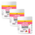 Kit 3 Potes Lavitan Colágeno Hidrolisado Verisol Cimed 300g Pele Firme e Jovem Kit 3 Potes Lavitan Colágeno Hidrolisado Verisol Cimed 300g Pele Firme e Jovem