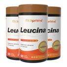 Kit 3 Potes Leucina 60 Cápsulas Fitoprime