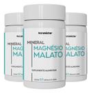 Kit 3 Potes Magnésio Malato Suplemento Alimentar 100 Pura Natural Malato Original Natunectar 180 Capsulas 260mg