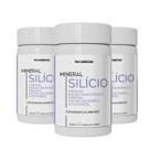 Kit 3 Potes Silício Vitaminas Suplemento Alimentar Natural Sabor 100% Puro 180 Cápsulas Natunéctar Original
