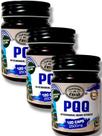 Kit 3 PQQ Canteiro De Ervas 2500mg 120 Caps Otimizador Celular