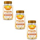 Kit 3 Própolis Extrato Seco 60 Cápsulas 550mg Chamel Kit 3 Própolis Extrato Seco 60 Cápsulas 550mg Chamel