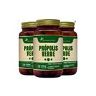 Kit 3 Própolis Verde Extrato Seco 500mg 3x60 cps Flora Nativa