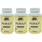 Kit 3 Própolis + Vit. C + Vit E + Zinco 360 Cápsulas - Rei Terra