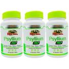 Kit 3 Psyllium Pro Mais Psyllium + Quitosana + Cromo + Biotina + Vitamina C 180 Cápsulas - Rei Terra