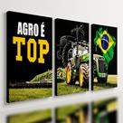 Kit 3 Quadro Decorativo Agro É Top Trator Brasil 40x28cm