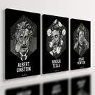 Kit 3 Quadro Decorativo Física Einstein Tesla Newton Ciencia 40x28cm