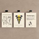 Kit 3 Quadro Decorativo Fisioterapia Consultório Clínica Mdf Kit 3 Quadro Decorativo Fisioterapia Consultório Clínica Mdf
