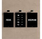 Kit 3 Quadro Motivacional Placa Decorativa Disciplina Foco 40x28cm