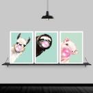 Kit 3 Quadros Animais Chicletes Turquesa 45X34 Moldura Preta