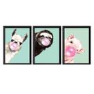 Kit 3 Quadros Animais Chicletes Turquesa 45X34Cm - Com Vidro