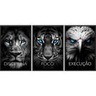 Kit 3 Quadros Animais Disciplina Foco Execução 45x34cm